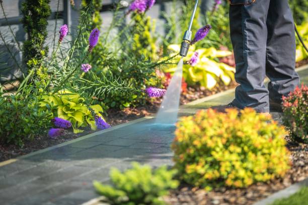 Best House Exterior Washing  in Beardstown, IL